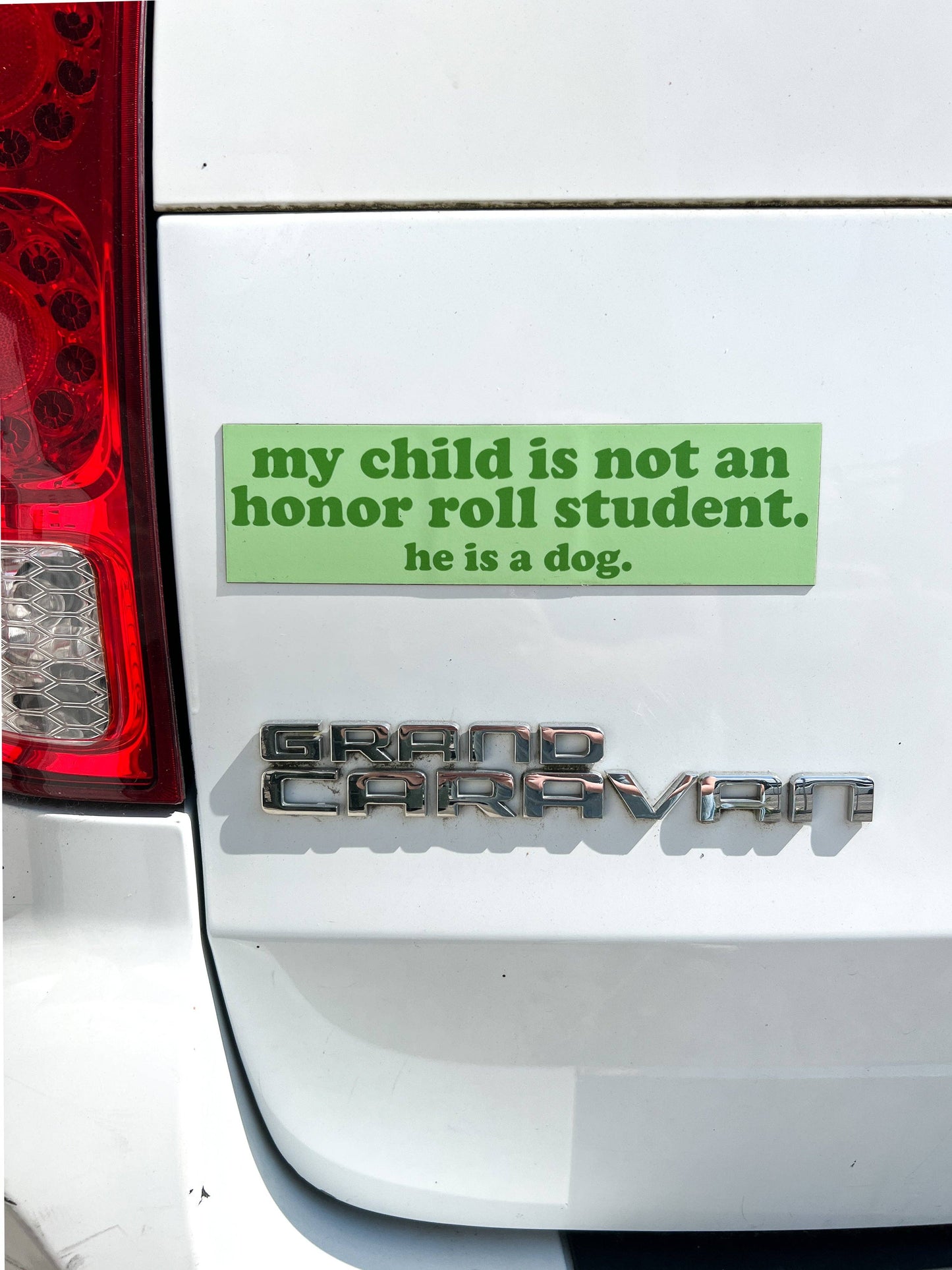 Boy Dog Honor Roll Car Magnet