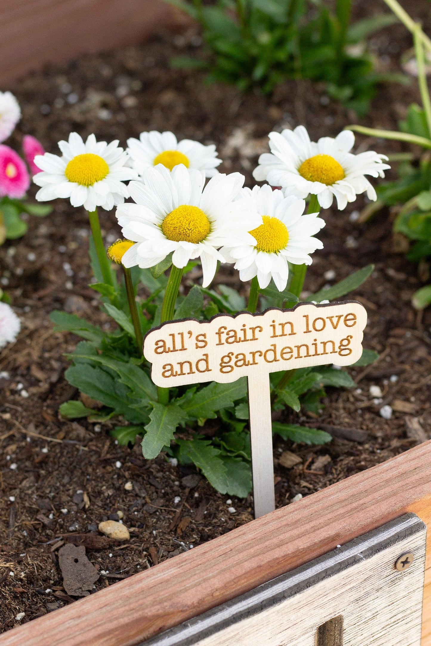 The Tortured Poets Department Plant Markers