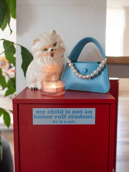Boy Cat Honor Roll Car Magnet