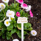 The Tortured Poets Department Plant Markers