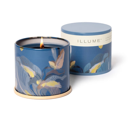 Citrus Crush Vanity Tin Candle