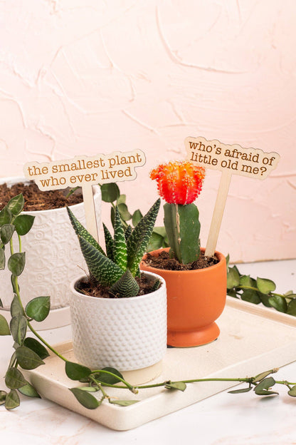 The Tortured Poets Department Plant Markers