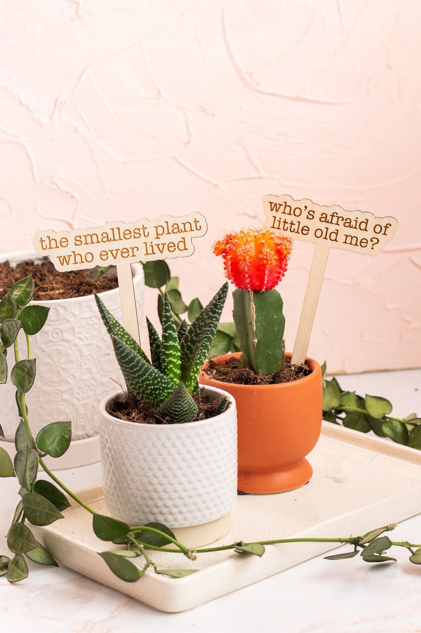 The Print Pantry - The Tortured Poets Department Plant Markers: I can fix him (no really I can)