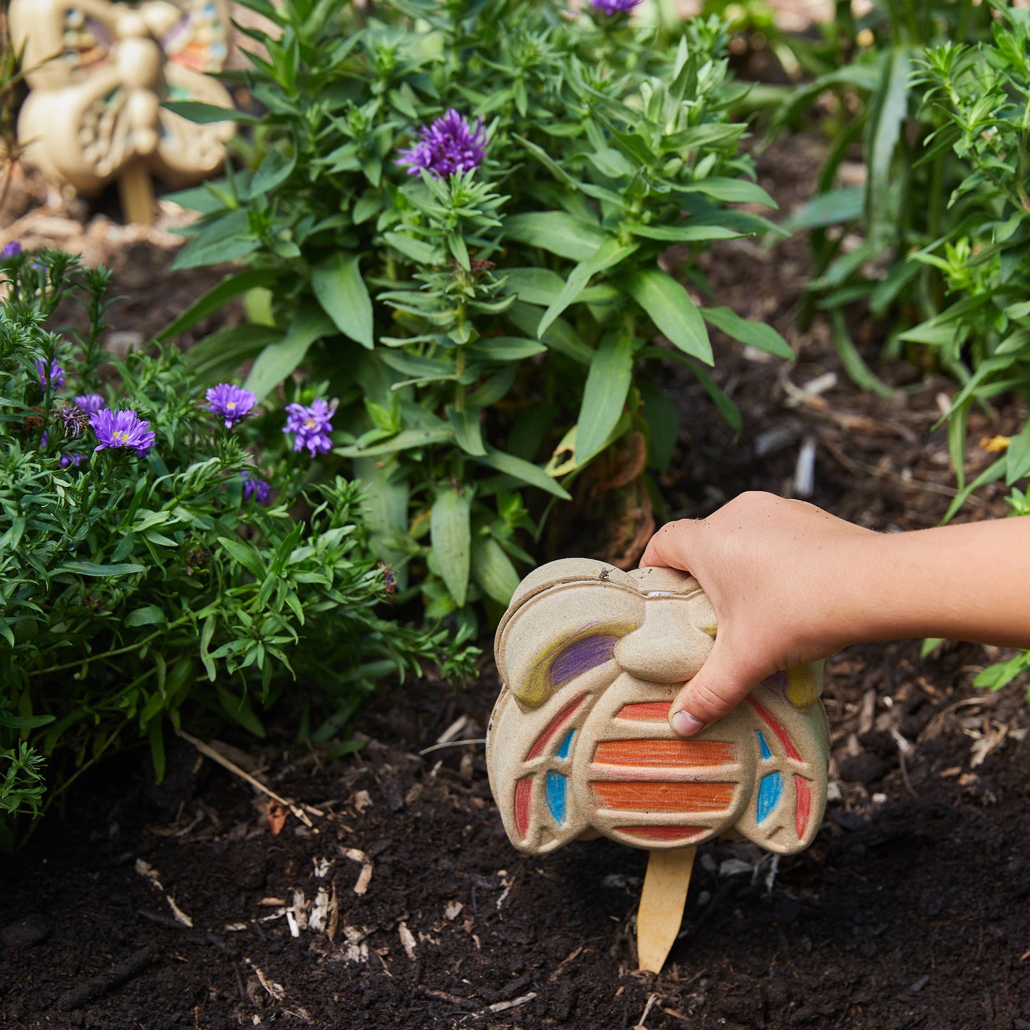 Butterfly Garden