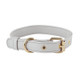 Collar and Leash Set
