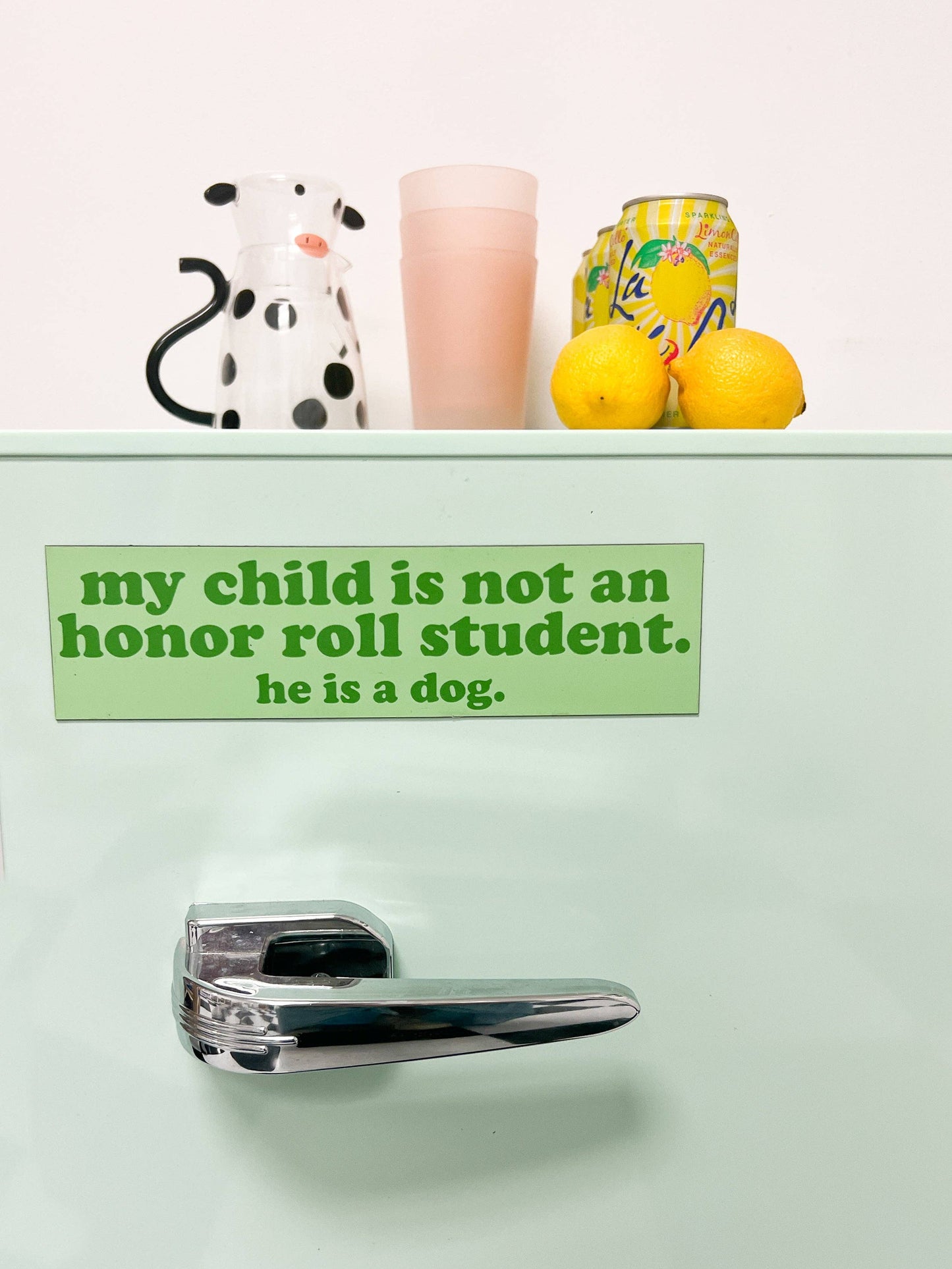 Boy Dog Honor Roll Car Magnet