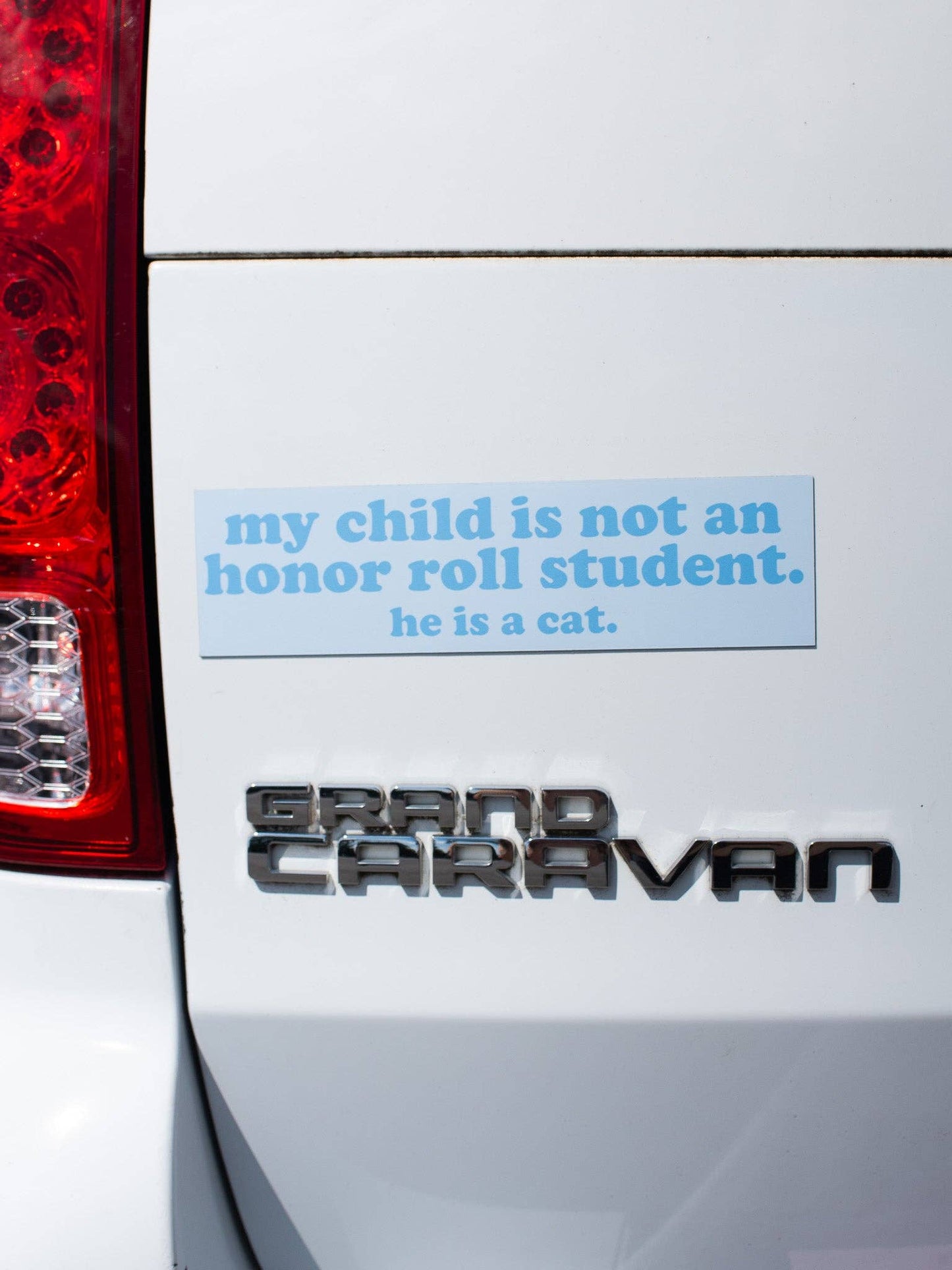 Boy Cat Honor Roll Car Magnet