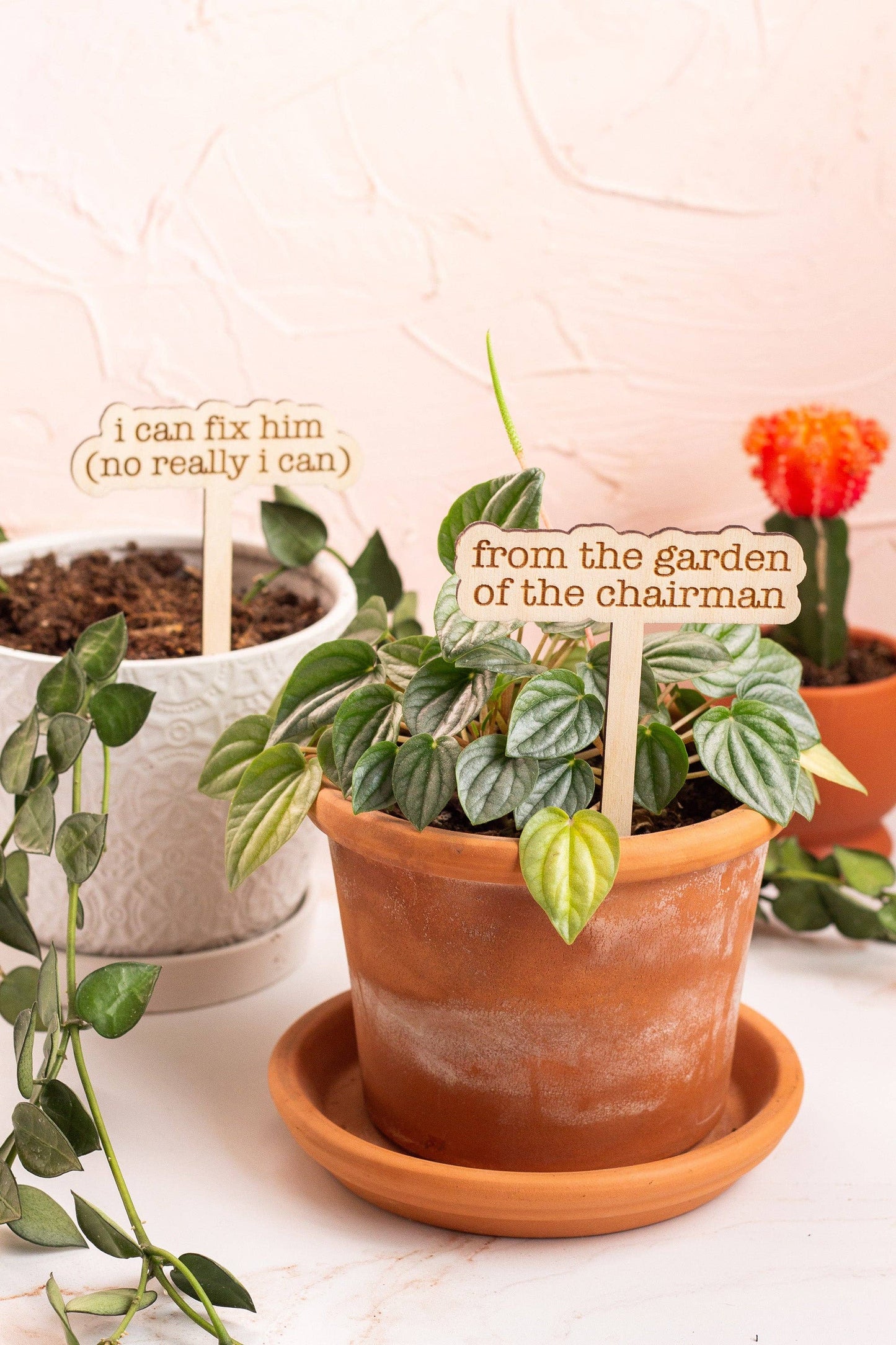 The Tortured Poets Department Plant Markers: The smallest plant who ever lived