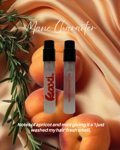 Travel Hair Perfume