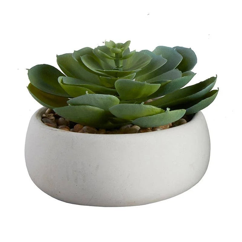 Elegans Succulent Gray Pot