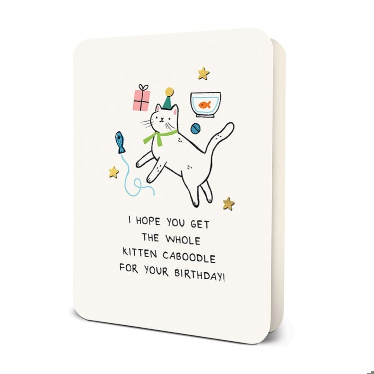 Whole Kitten Caboodle Deluxe Greeting Card